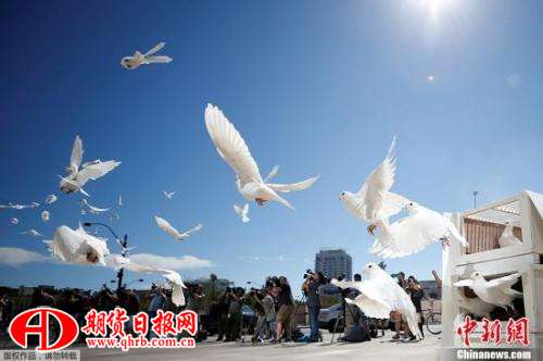 当地时间2017年10月7日，美国拉斯维加斯市政厅举行活动悼念枪击案遇难者，市政广场放飞白鸽。图片来源：中新网