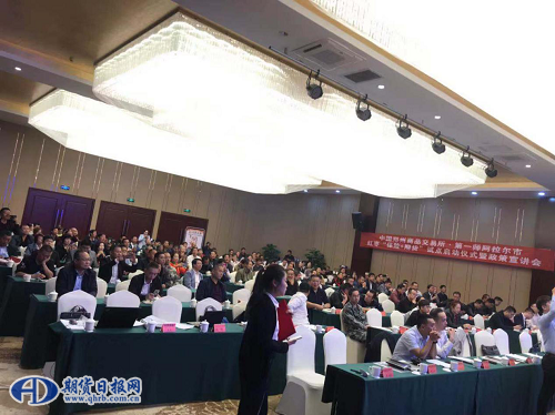 图片8