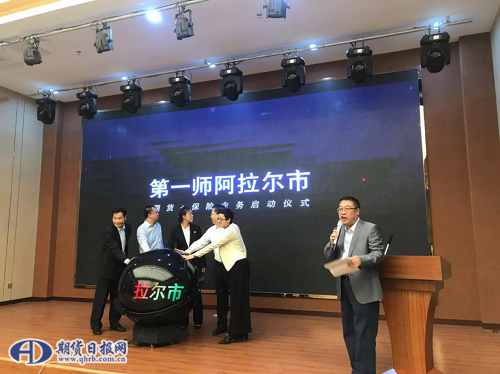 图片5