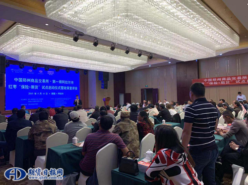 图片9