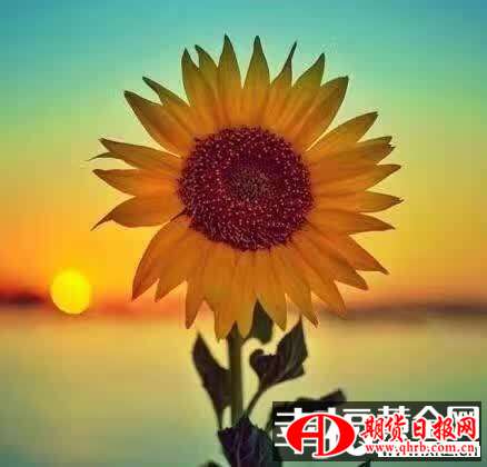 现货白银价格惨遭断头铡刀暴跌近3% 关注英国大选结果
